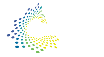apollo consulting